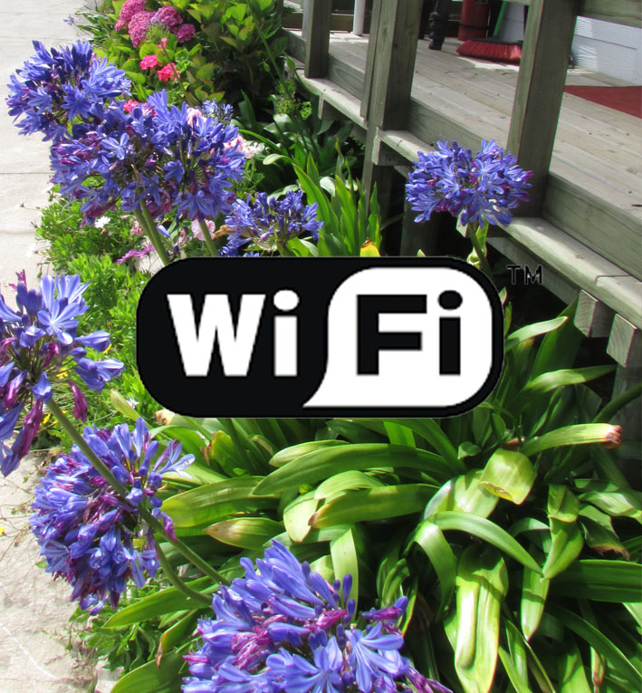 wifi